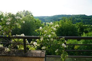 Dining outside by the roses